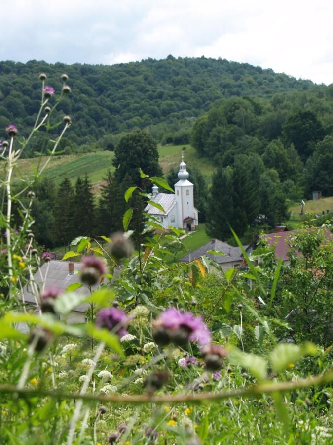 Дома для отпуска EcoLodge Novoselitsa